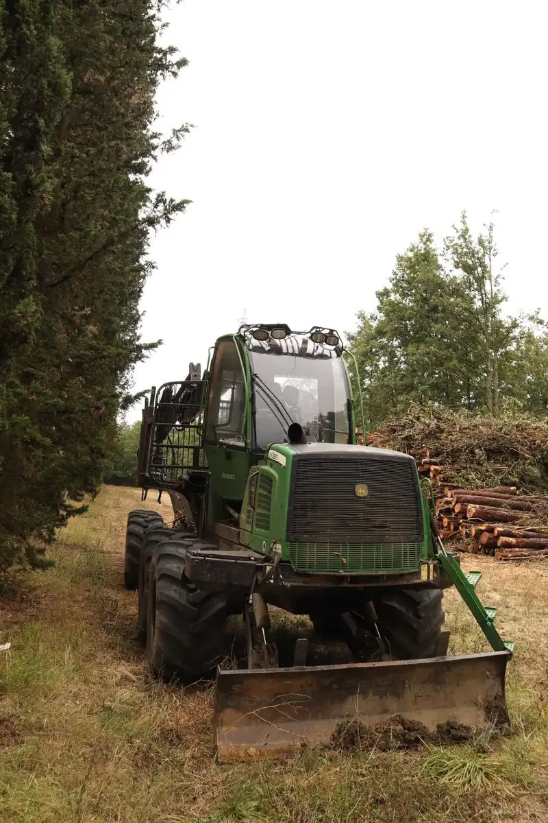 Forestale